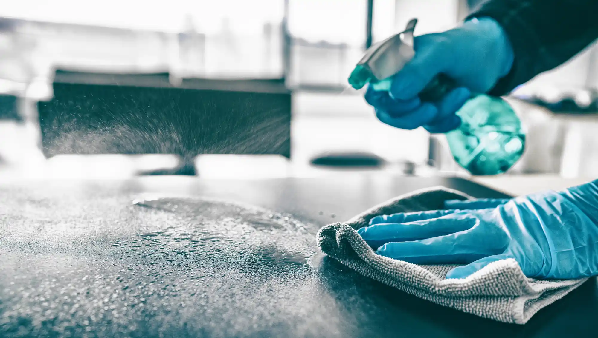 Professional Home Cleaning Services Professional Home Cleaning Services