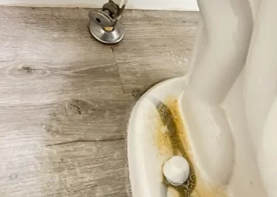 Affordable Bathroom Cleaning