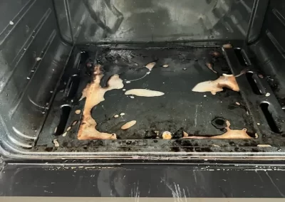 Professional Cleaning Services