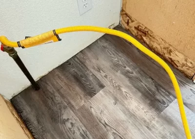 Professional Home Cleaner