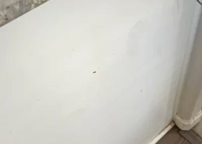 Quality Home Cleaner