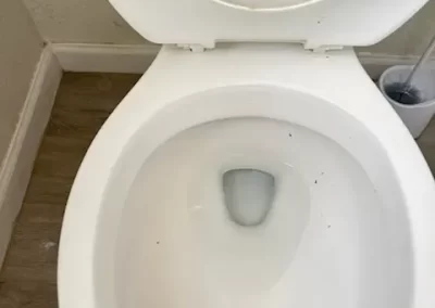 Top Bathroom Cleaning